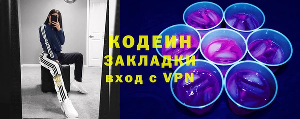 скорость Вяземский