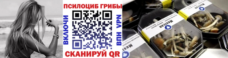 Купить  Чекалин  Псилоцибиновые грибы MAGIC MUSHROOMS 